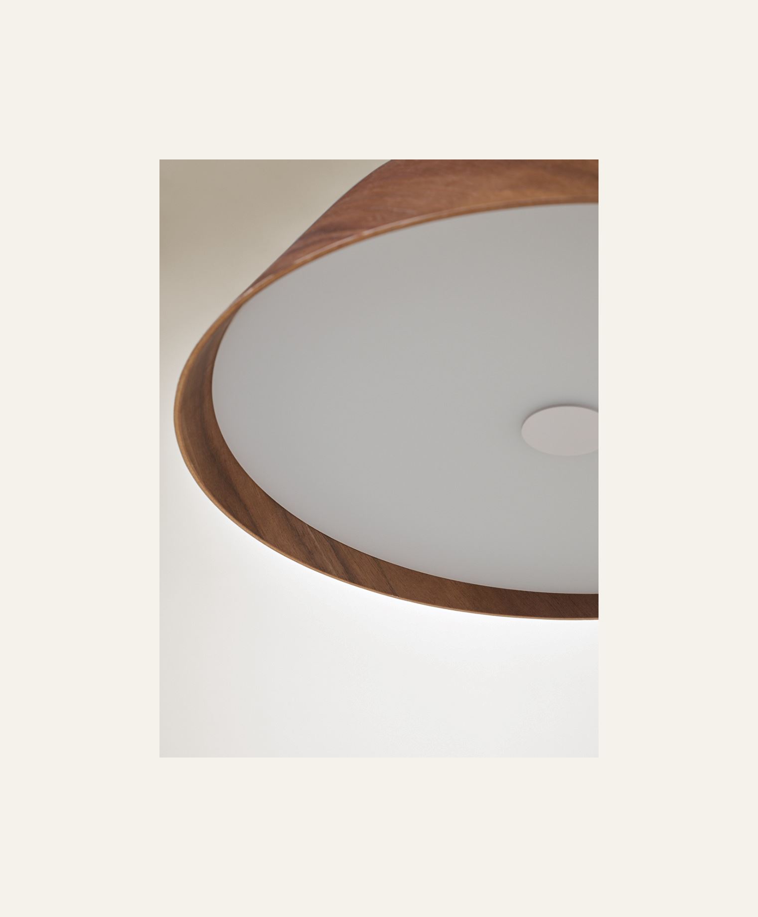 Kattovalaisin ruskea - 3