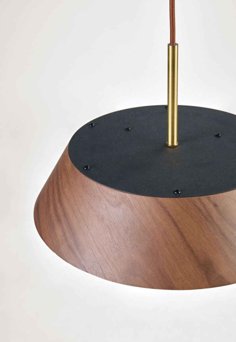 Kattovalaisin ruskea - 4