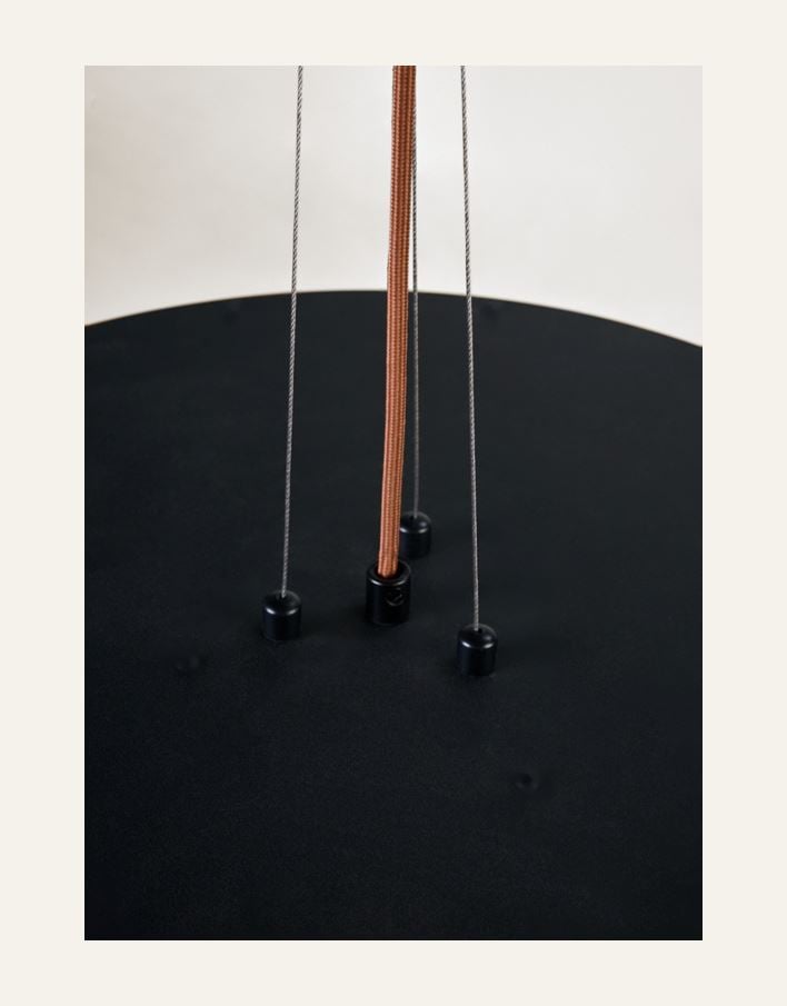 Kattovalaisin ruskea - 3