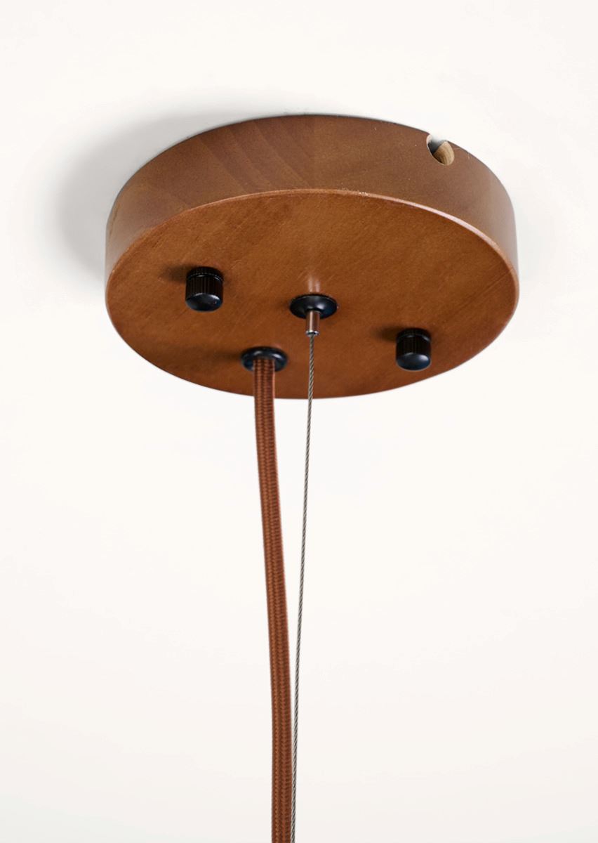 Kattovalaisin ruskea - 6