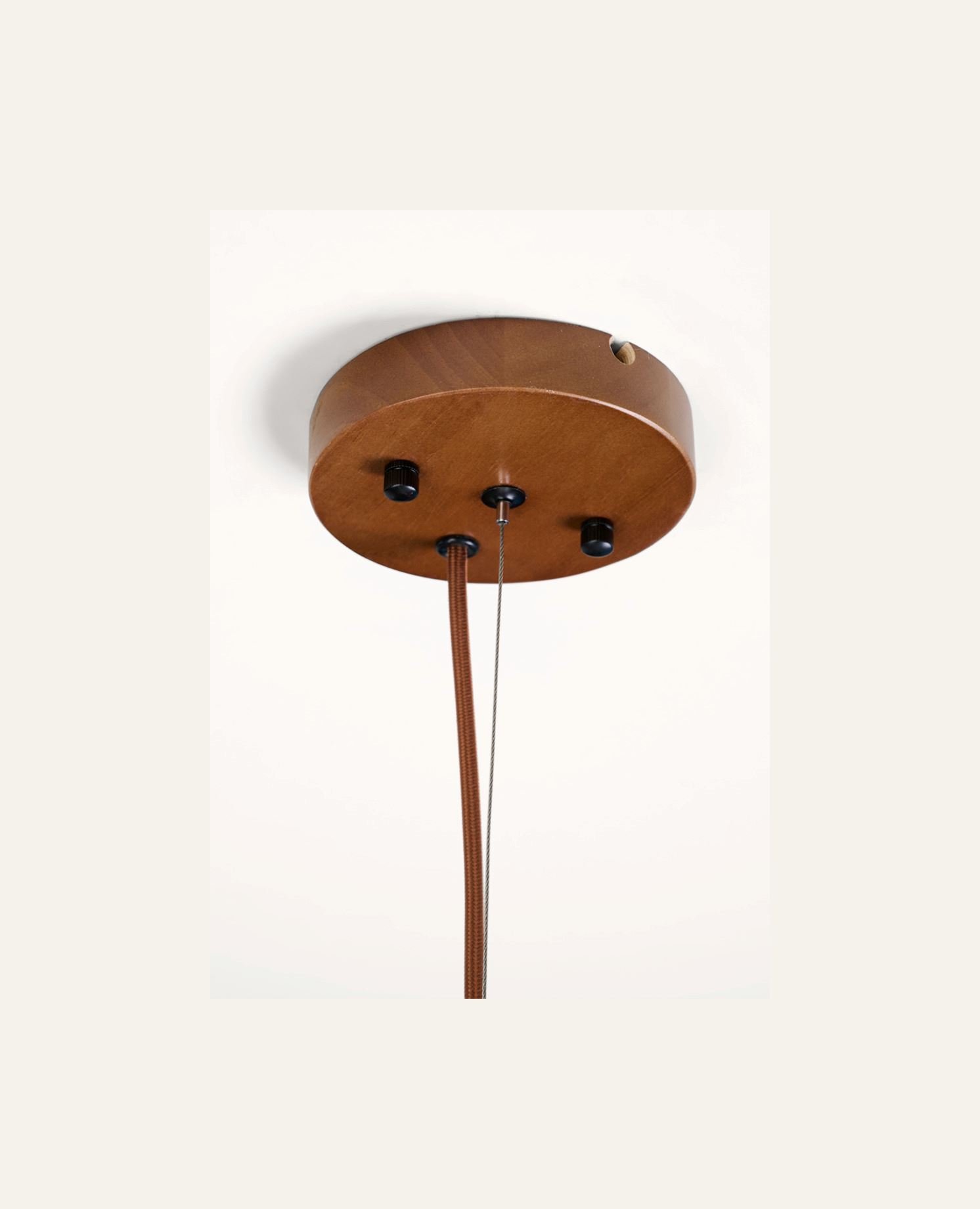 Kattovalaisin ruskea - 6