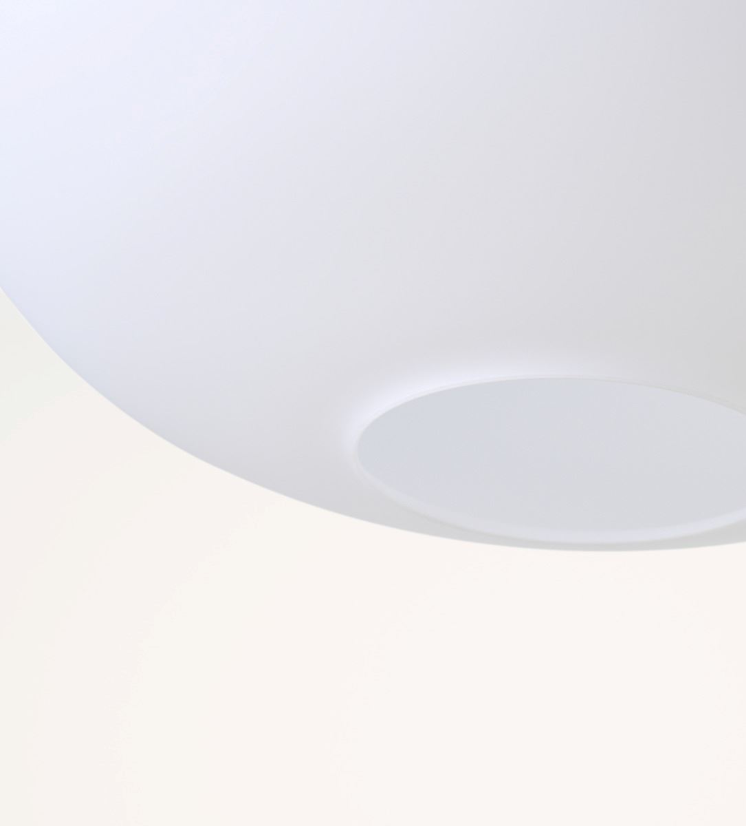 Kattovalaisin ruskea - 3