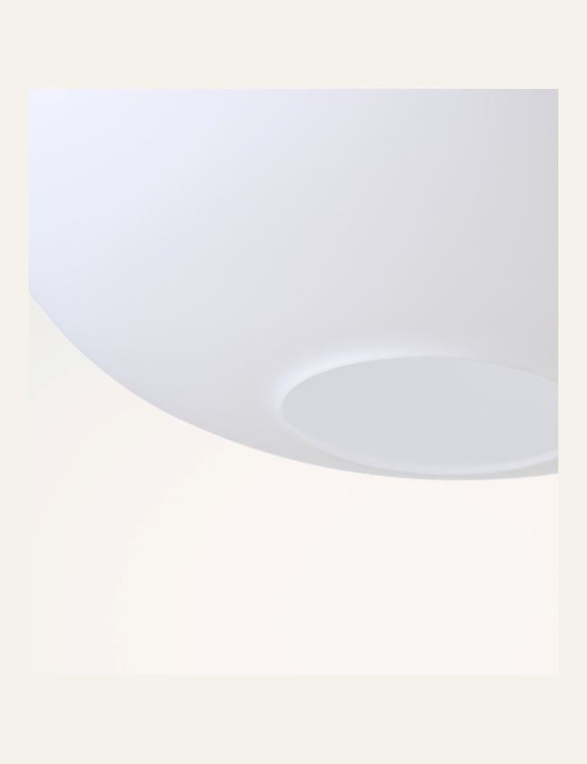 Kattovalaisin ruskea - 3