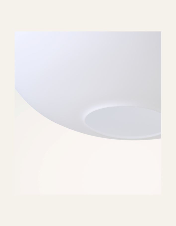 Kattovalaisin ruskea - 3