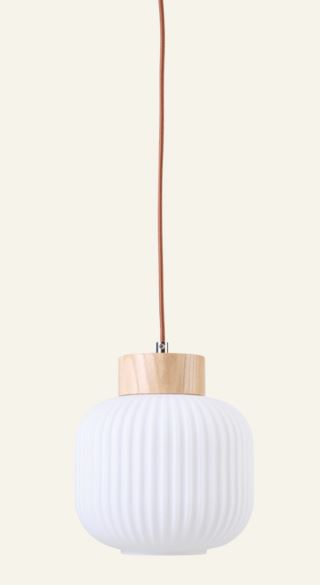 Aria kattovalaisin luonnonväri