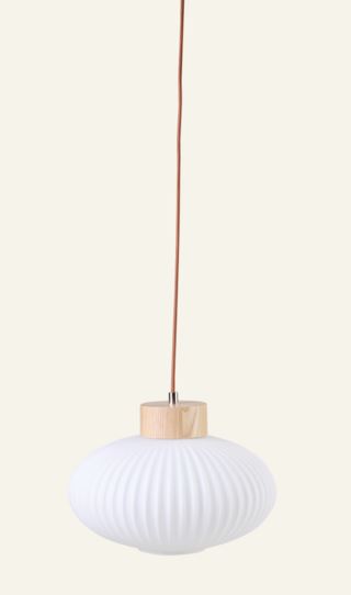 Amara kattovalaisin luonnonväri