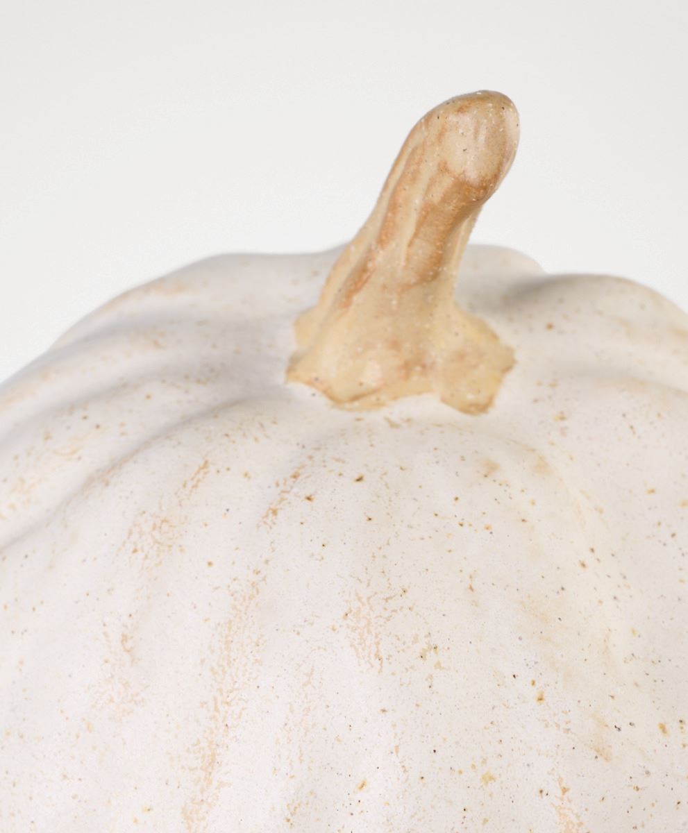 Koriste valkoinen - 2