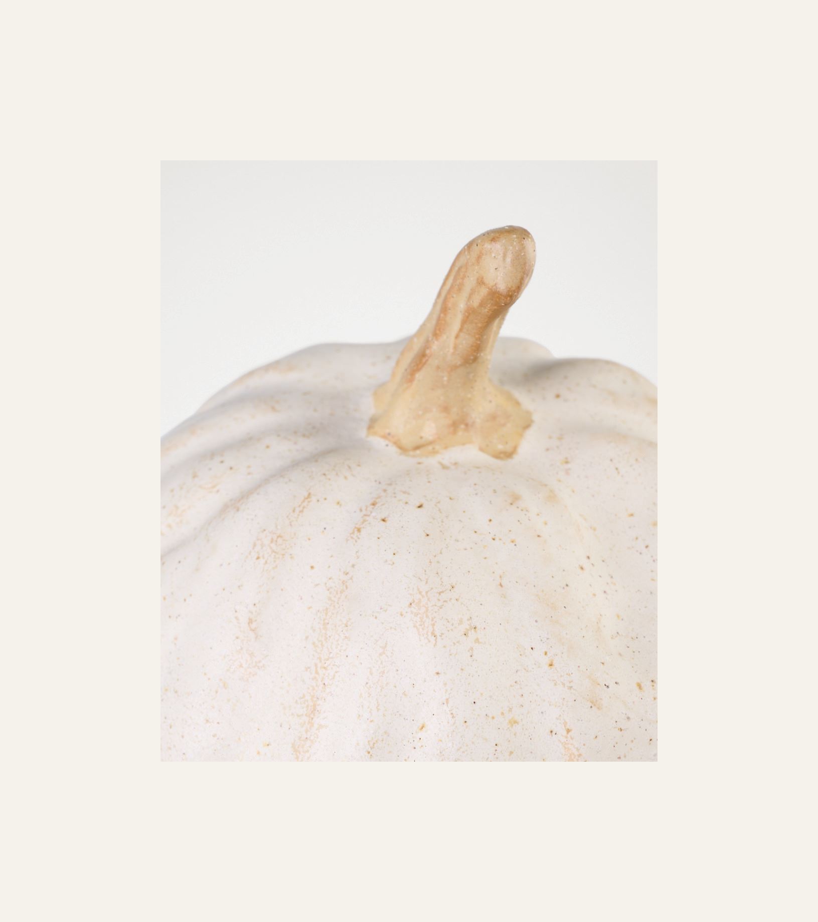 Koriste valkoinen - 2