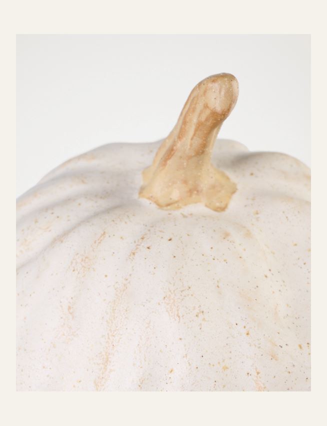 Koriste valkoinen - 2