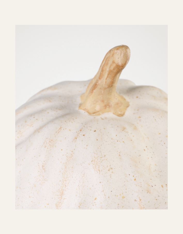 Koriste valkoinen - 2