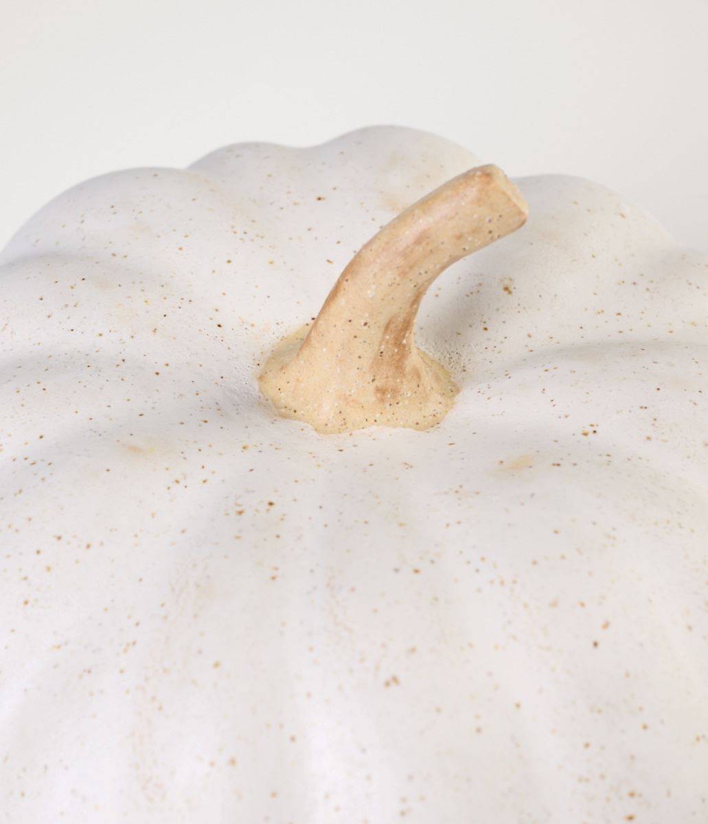 Koriste valkoinen - 2