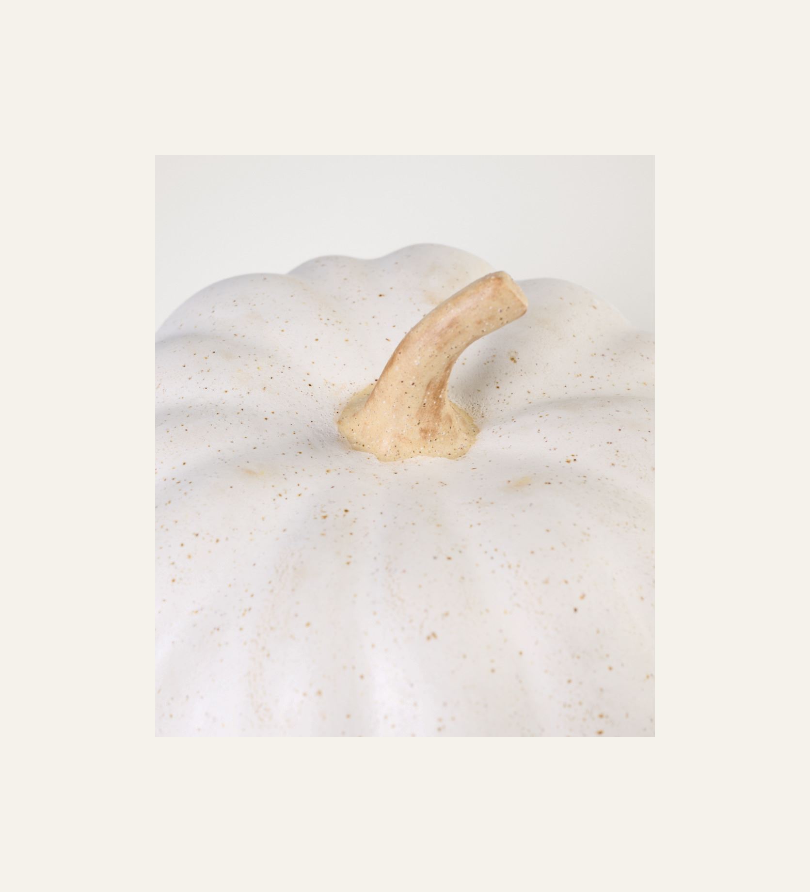 Koriste valkoinen - 2