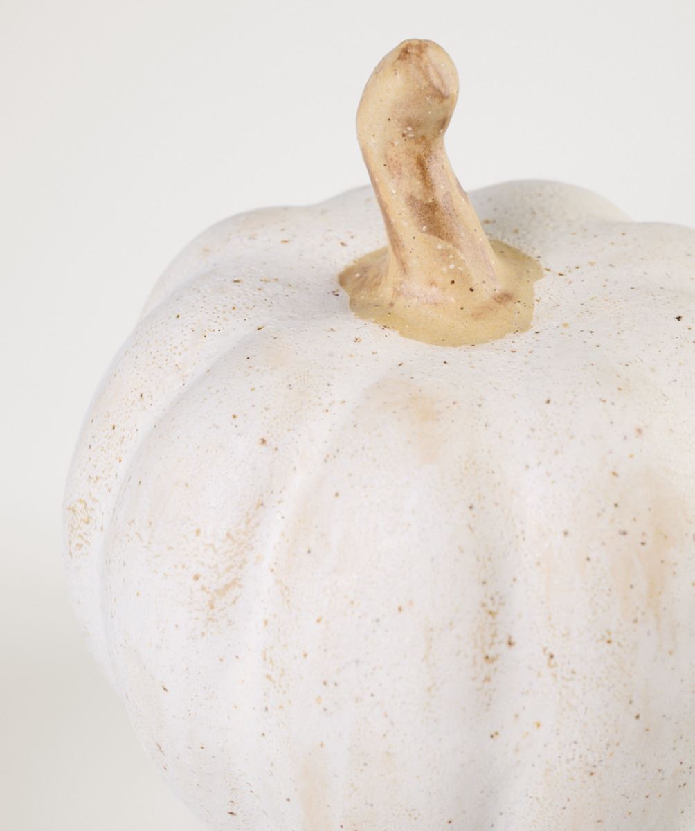 Koriste valkoinen - 2