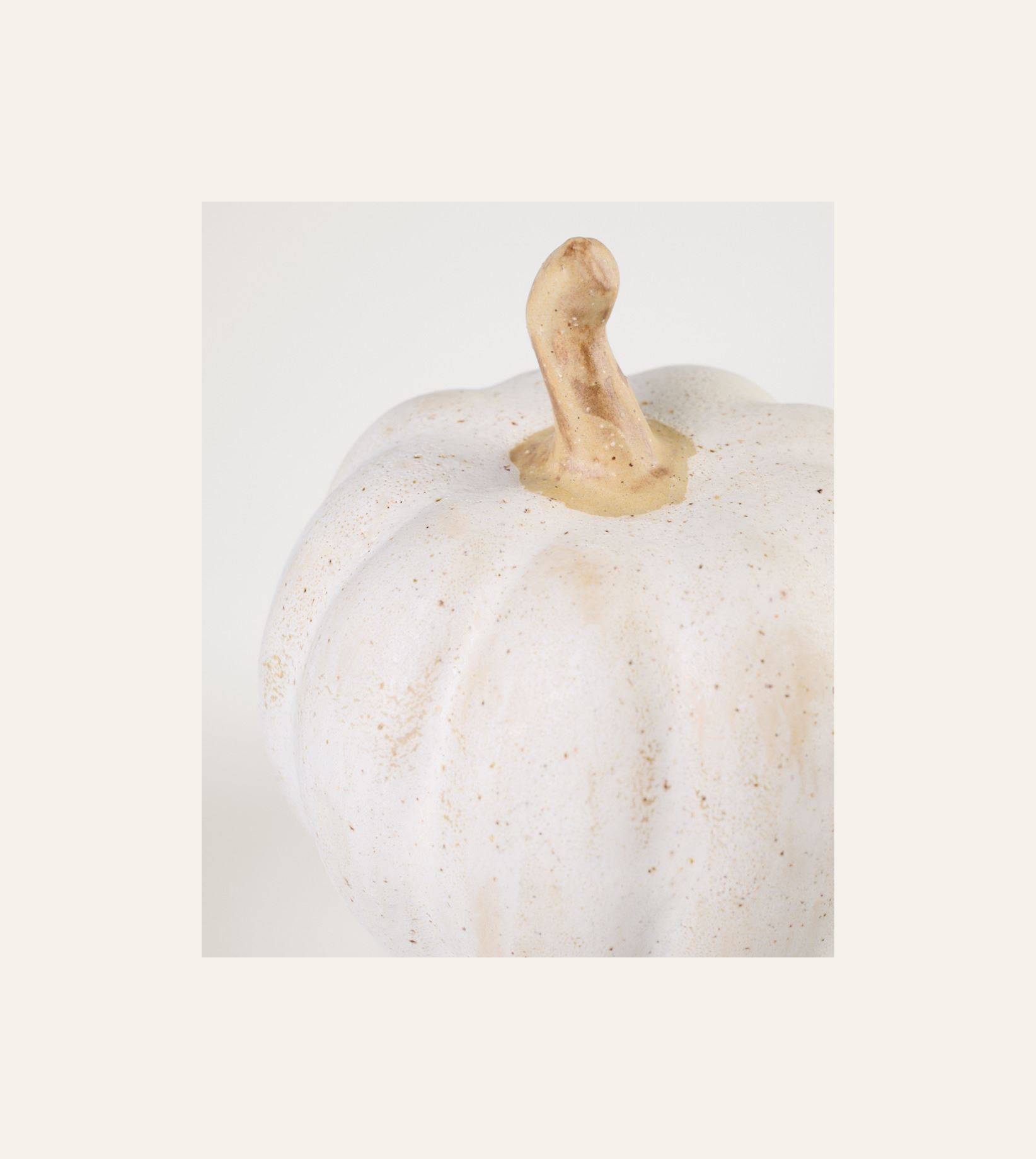 Koriste valkoinen - 2