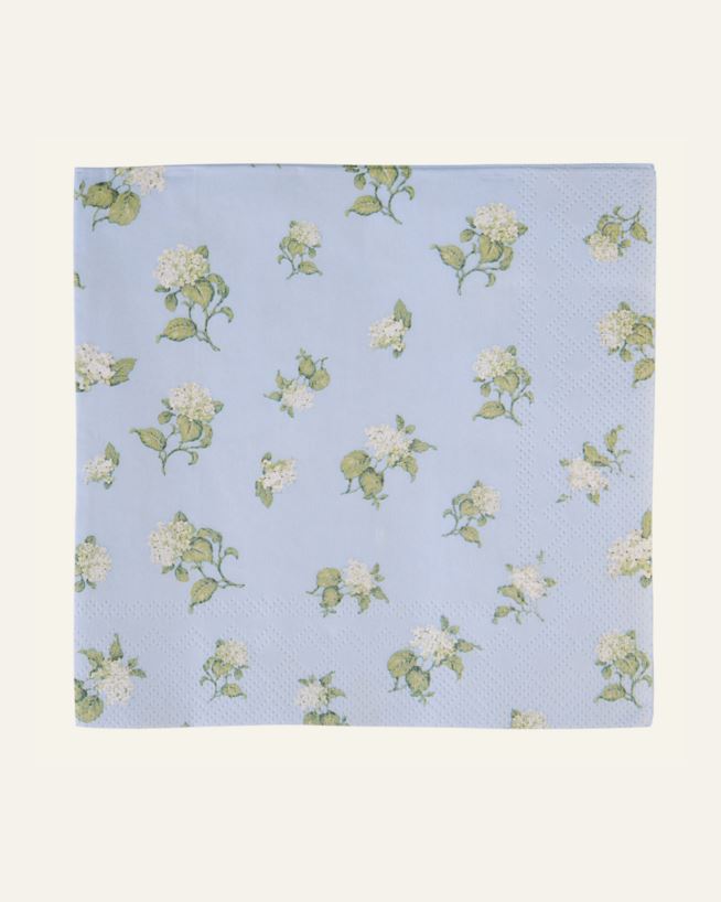 Paperiservetit moniväri/sininen - 33x33 cm moniväri/sininen - 1