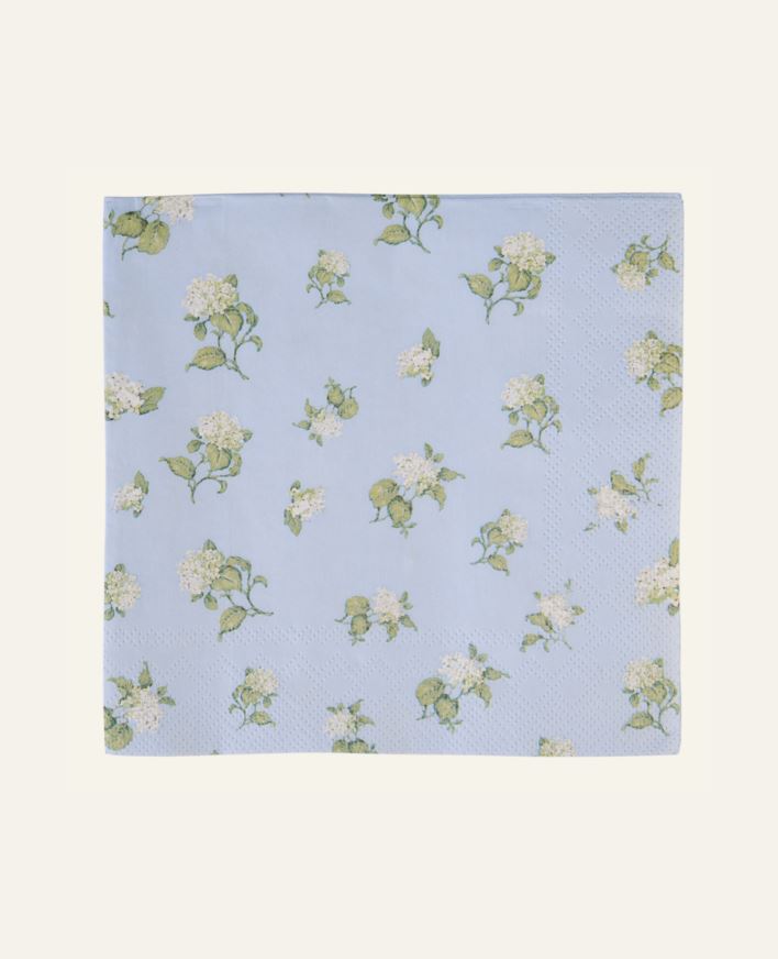 Paperiservetit moniväri/sininen - 33x33 cm moniväri/sininen - 1