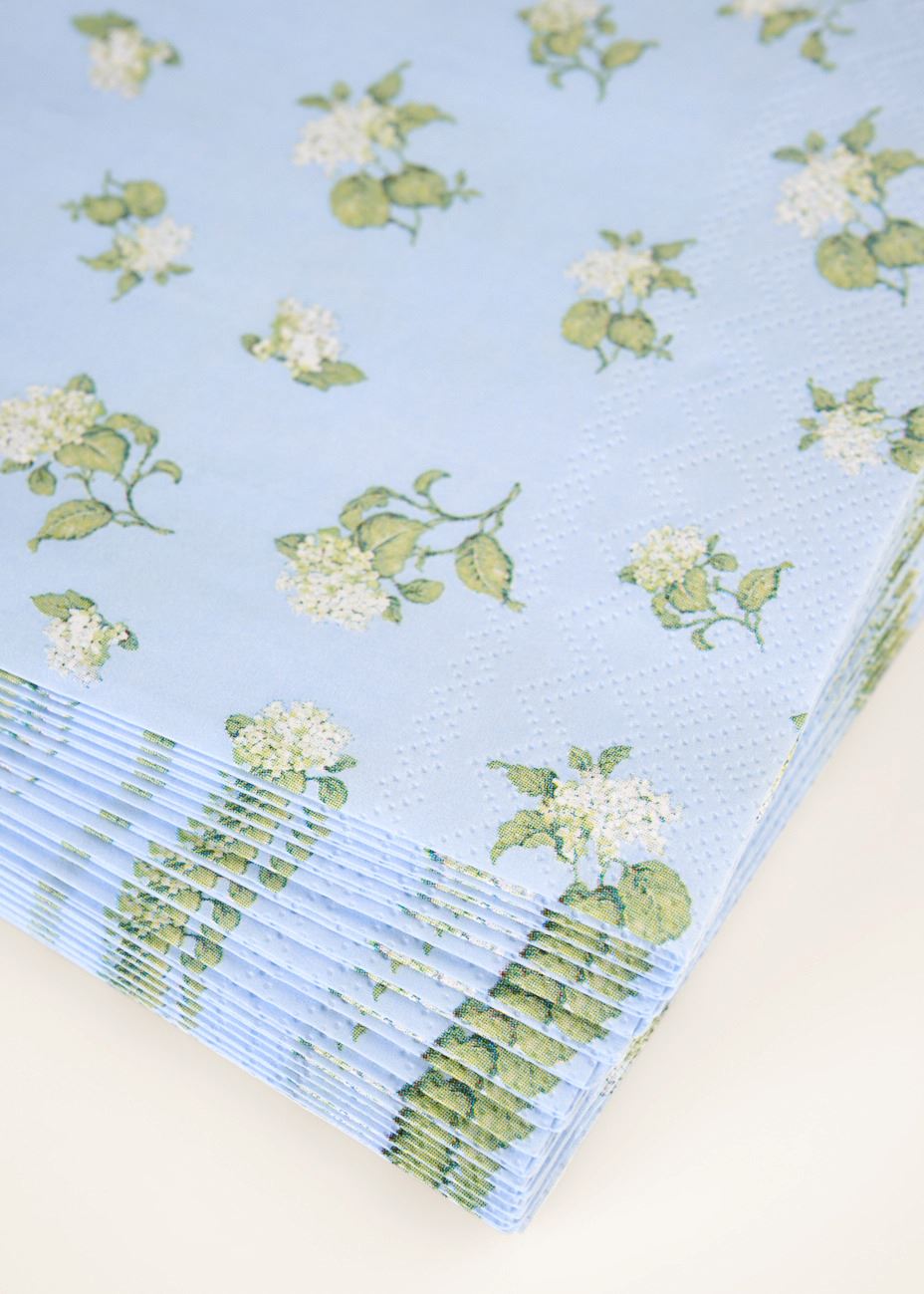 Paperiservetit moniväri/sininen - 2