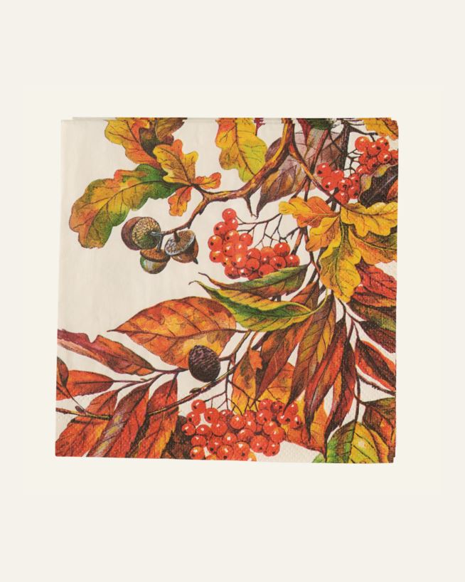 Kahviservetit moniväri/oranssi - 25x25 cm moniväri/oranssi - 1