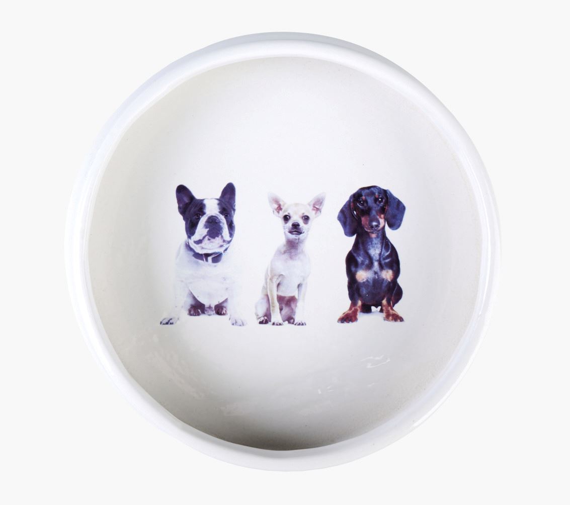 Koiran ruokakuppi valkoinen - 3