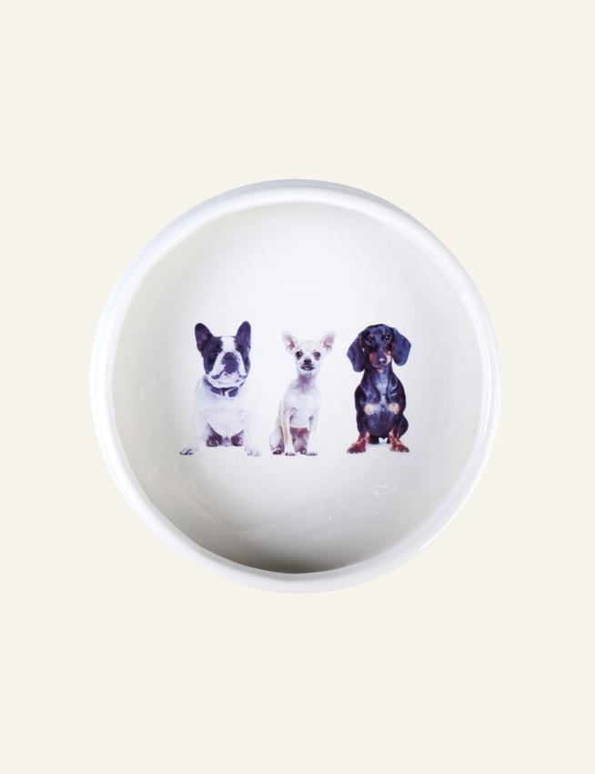 Koiran ruokakuppi valkoinen - 3