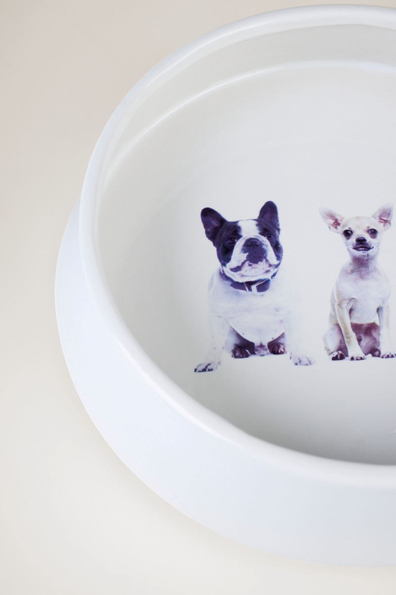 Koiran ruokakuppi valkoinen - 4