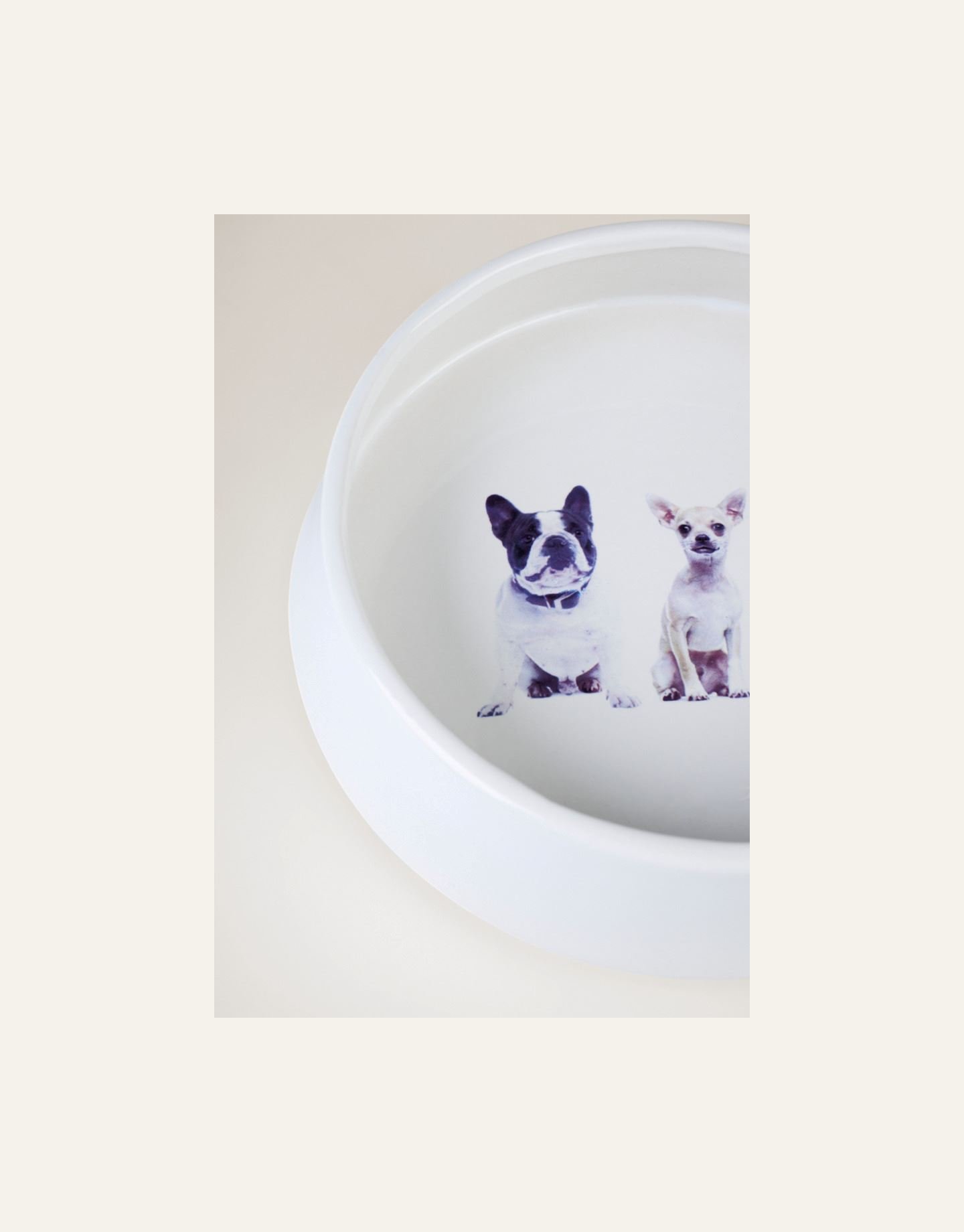 Koiran ruokakuppi valkoinen - 4