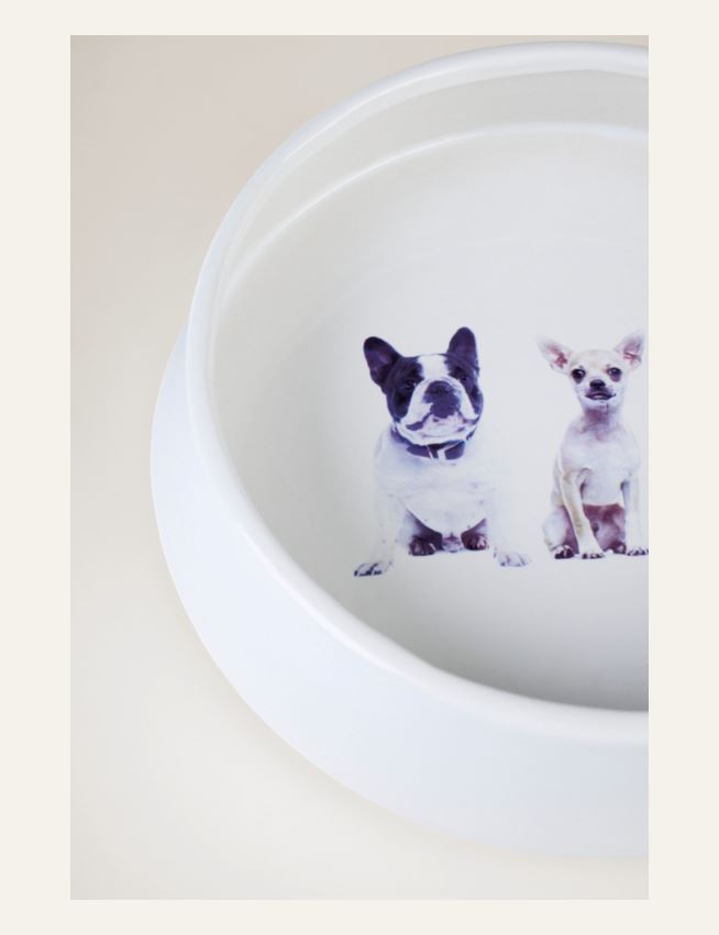 Koiran ruokakuppi valkoinen - 4