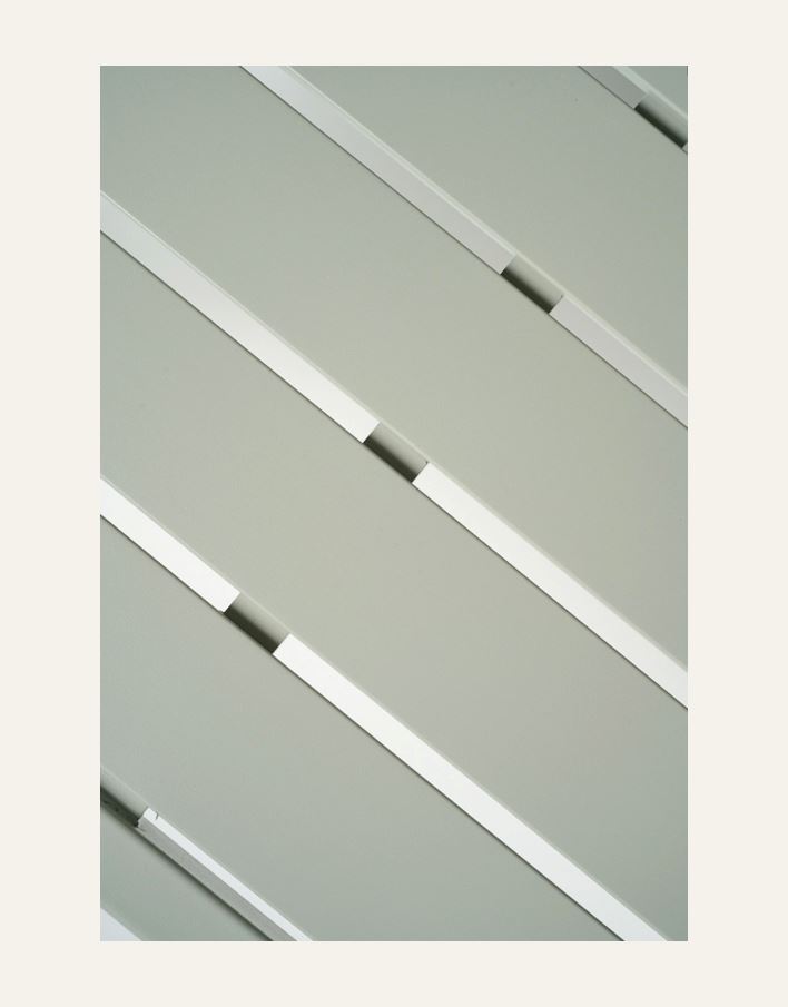 Puutarhan penkki harmaanvihreä - 2