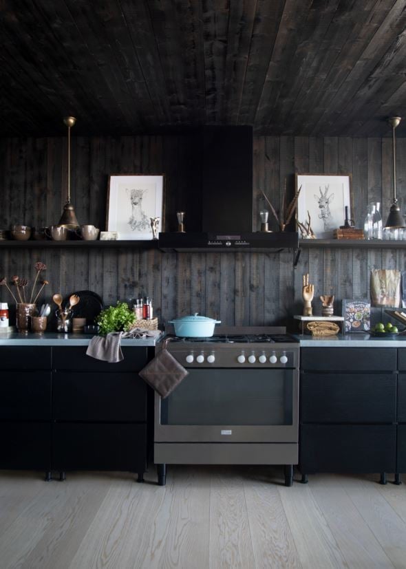 Patalappu ruskea - 2