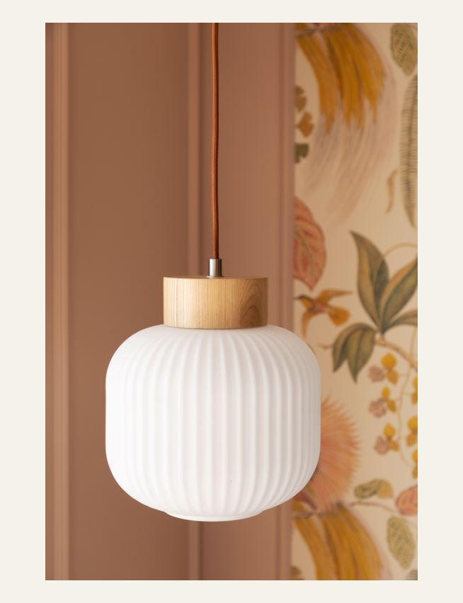 Kattovalaisin luonnonväri - 2