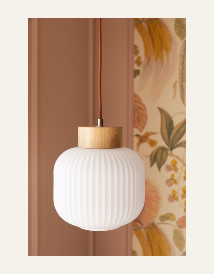 Kattovalaisin luonnonväri - 2