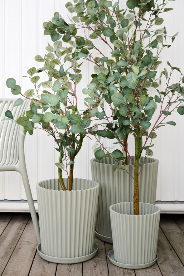 Ulkoruukku harmaanvihreä - 2