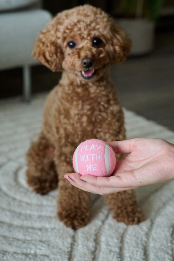 Tennispallo roosa - 2