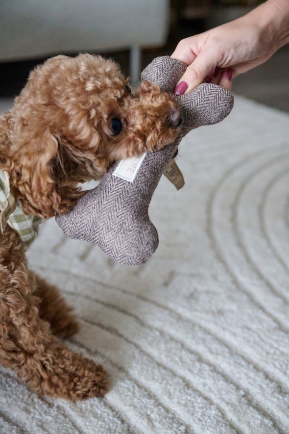 Koiranlelu harmaa - 4