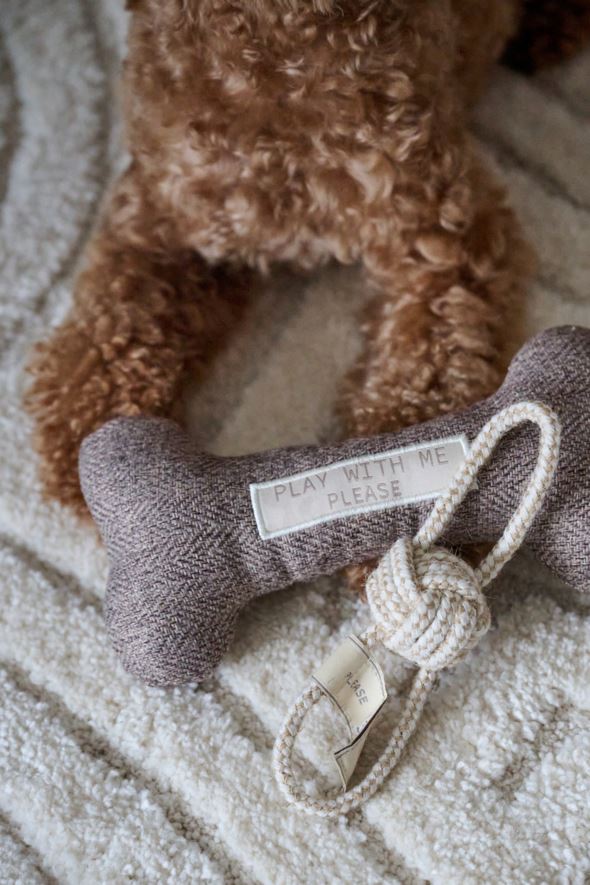 Koiranlelu harmaa - 3