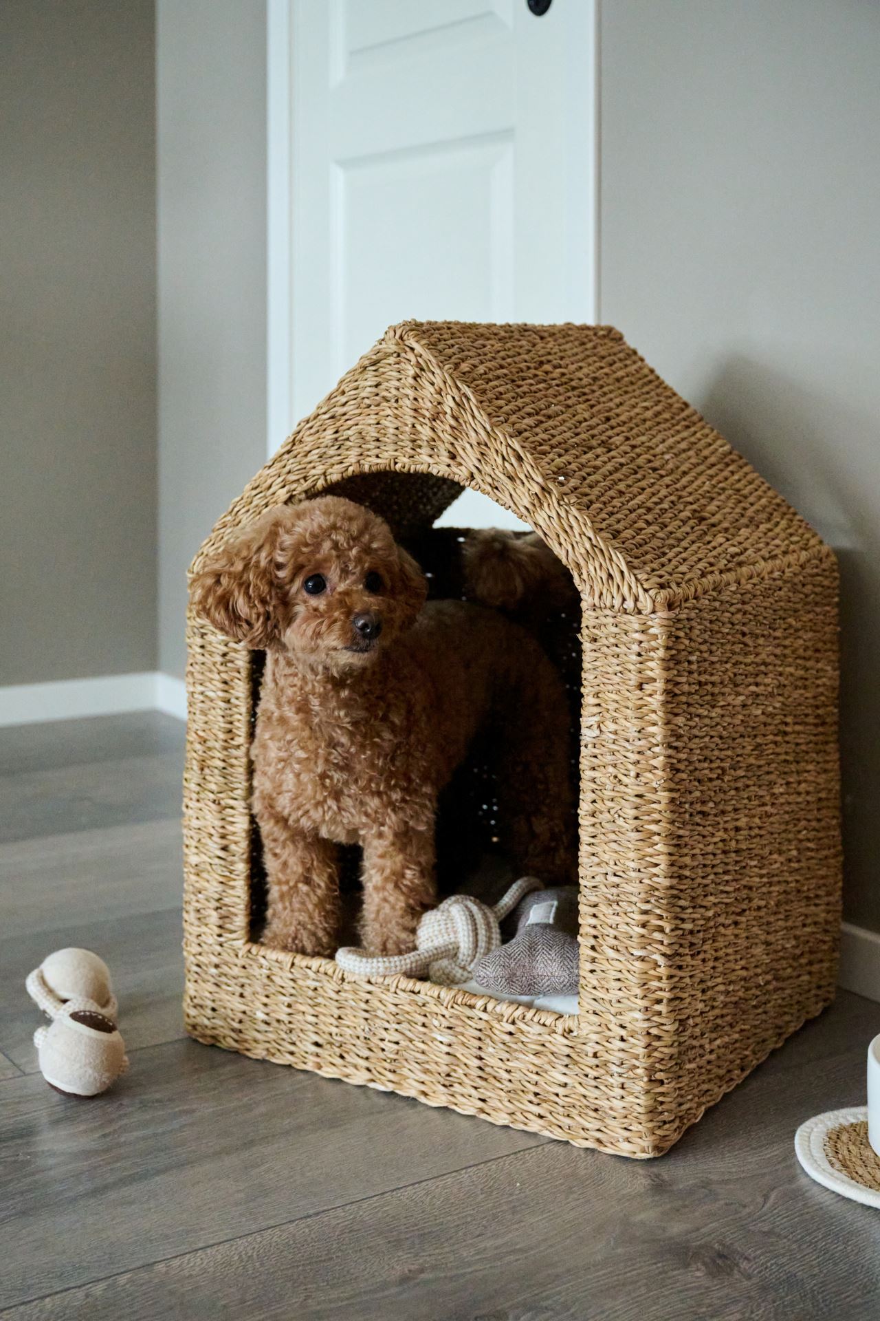 Koiran peti luonnonväri - 5