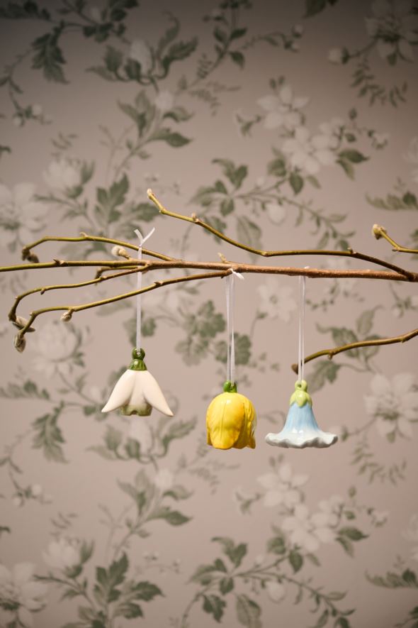 Koriste vaaleansininen - 3