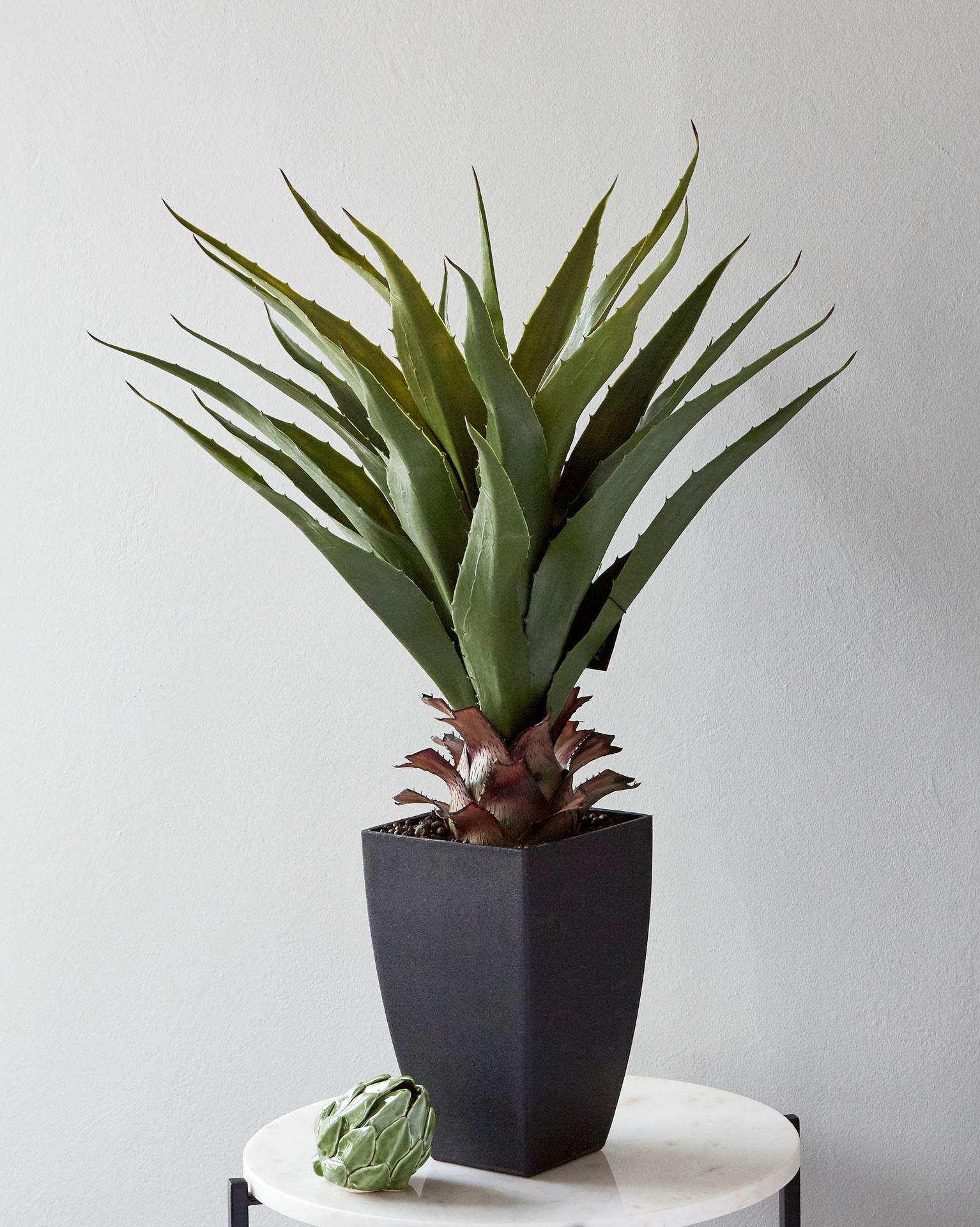 Viherkasvi vihreä - 2