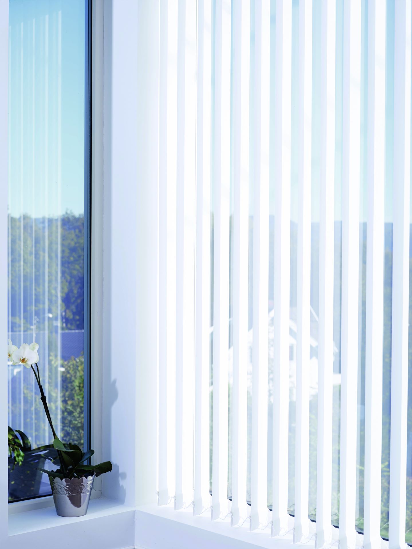 Pimentävät lamellit valkoinen - 2