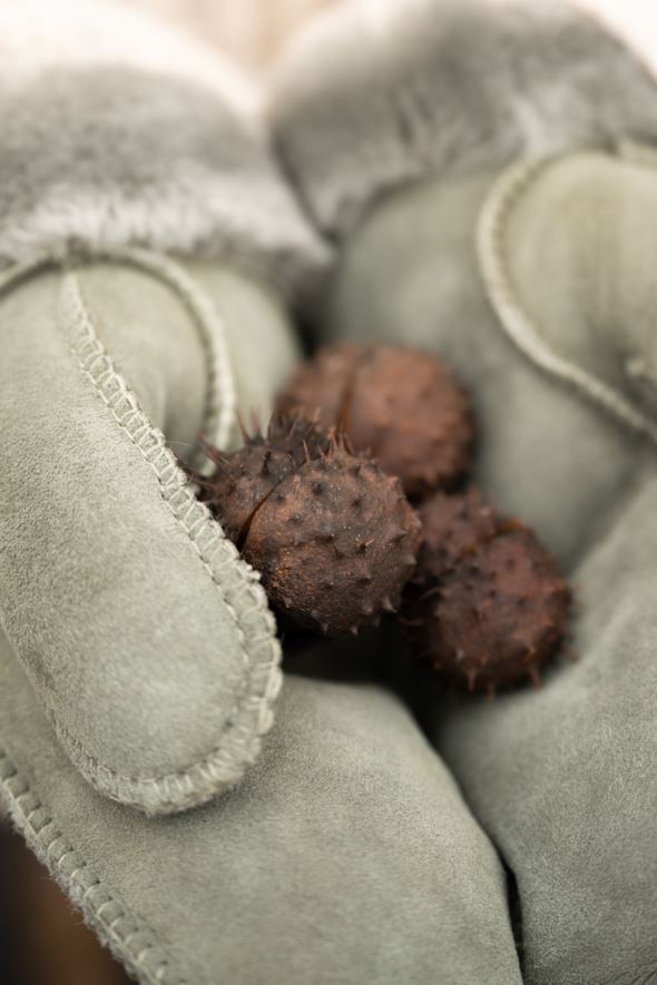 Nahkakäsineet oliivinvihreä - 5