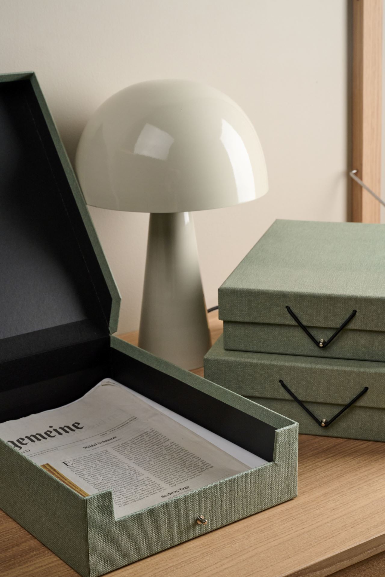 Säilytyslaatikko vaaleanvihreä - 2