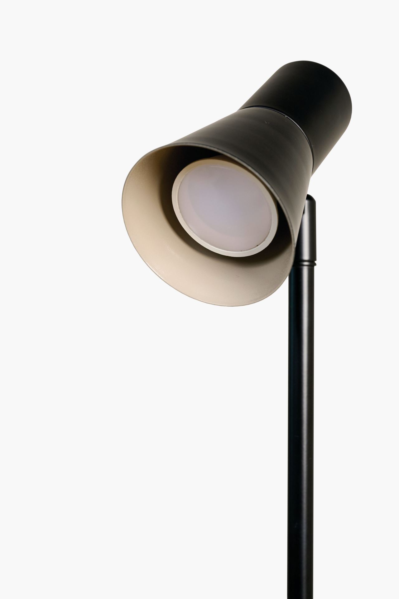 Lattiavalaisin musta - 2