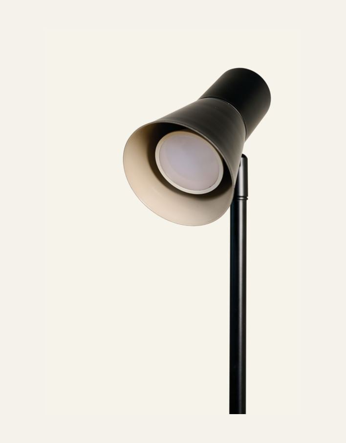 Lattiavalaisin musta - 2