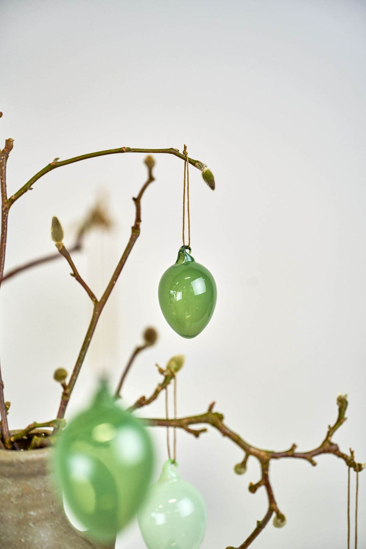 Koriste tummanvihreä - 2