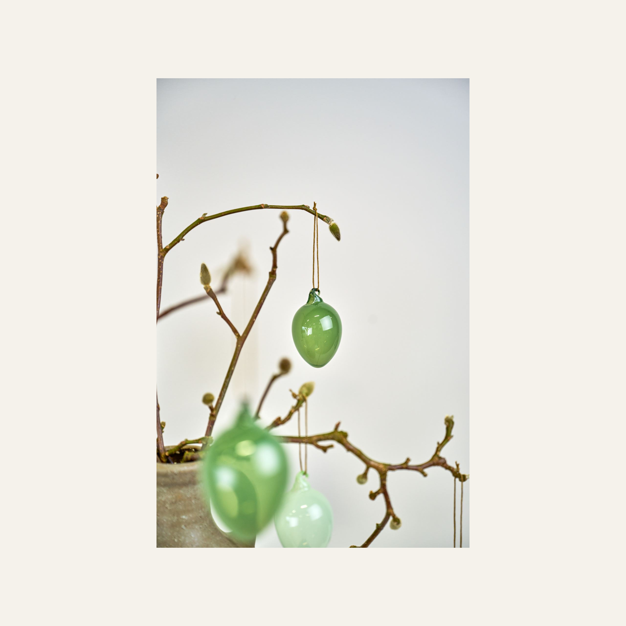 Koriste tummanvihreä - 2