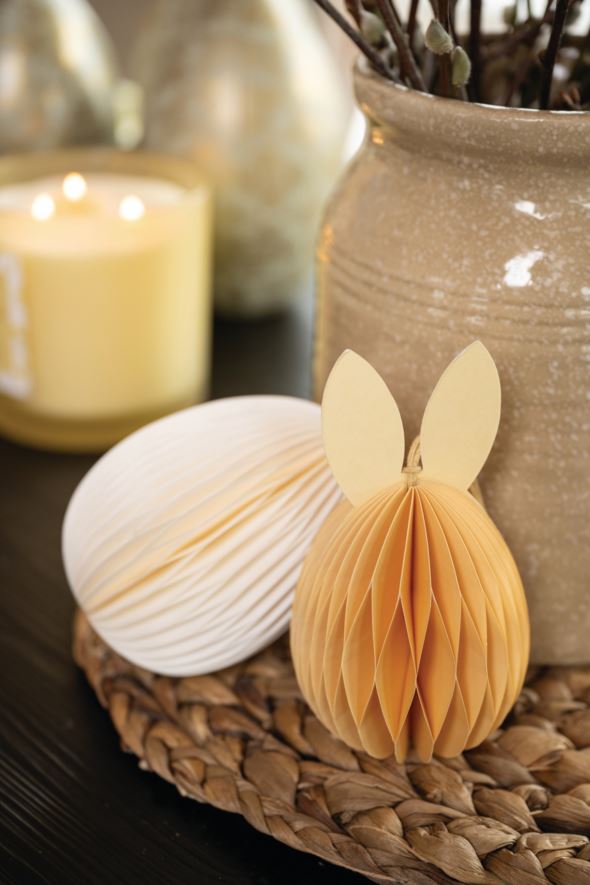 Koriste vaaleankeltainen - 15 cm vaaleankeltainen - 1