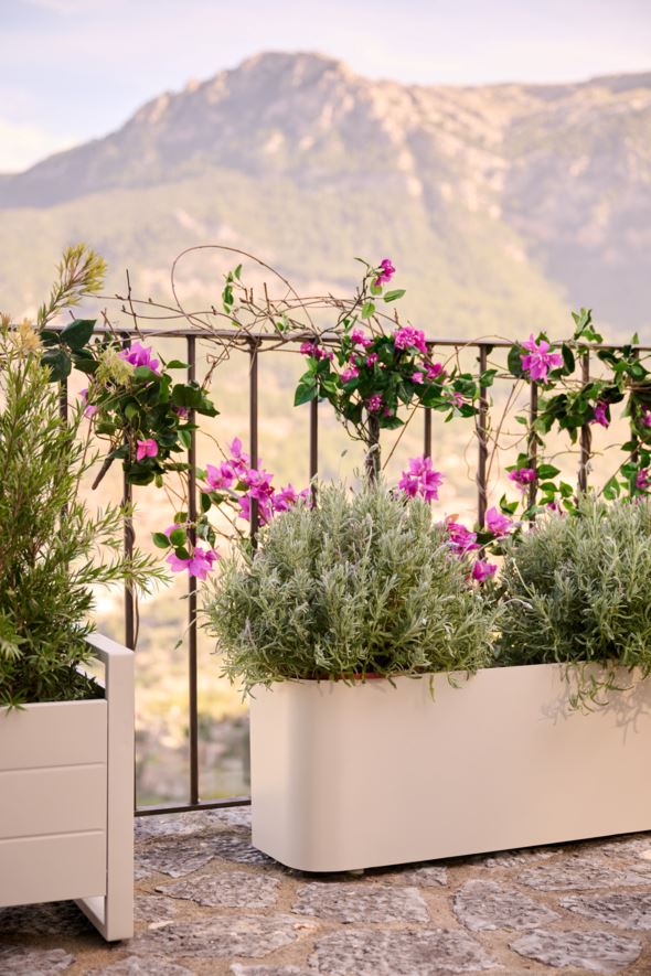 Kukkalaatikko hiekka - 6