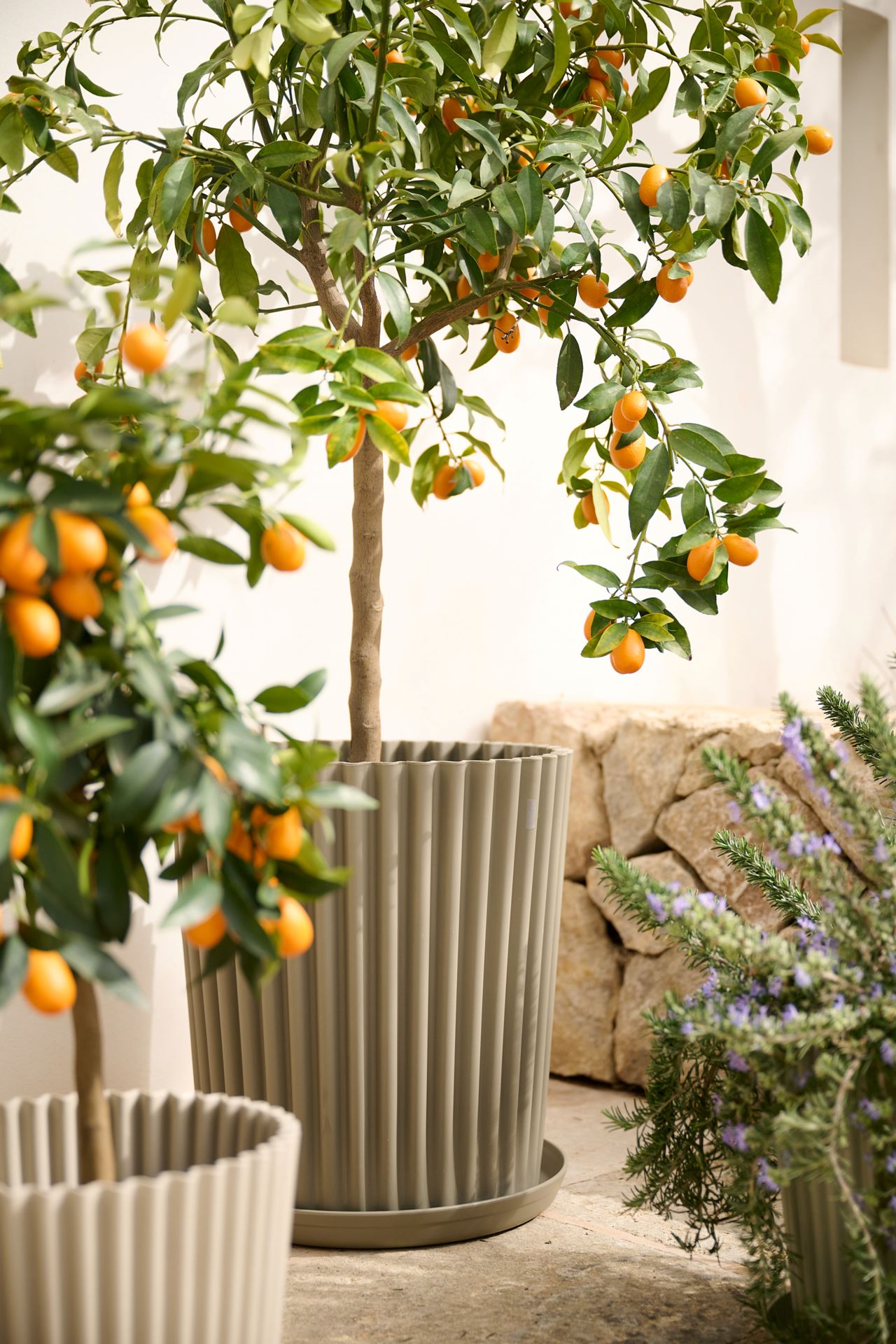 Ulkoruukku hiekka - 6