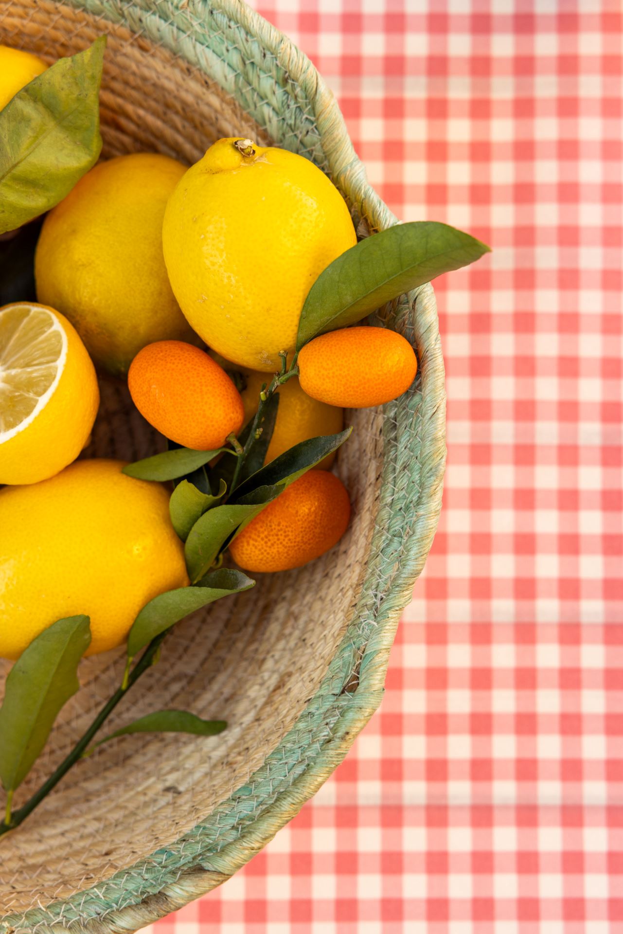 Vahakangas roosa - 3