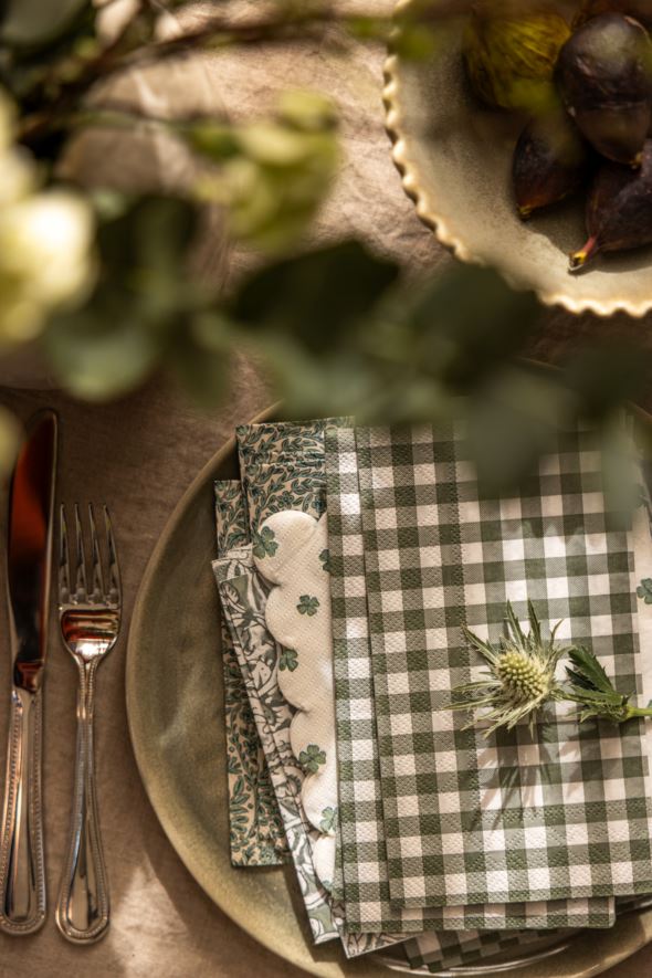 Paperiservetit moniväri/vihreä - 2